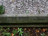 image of grave number 84904